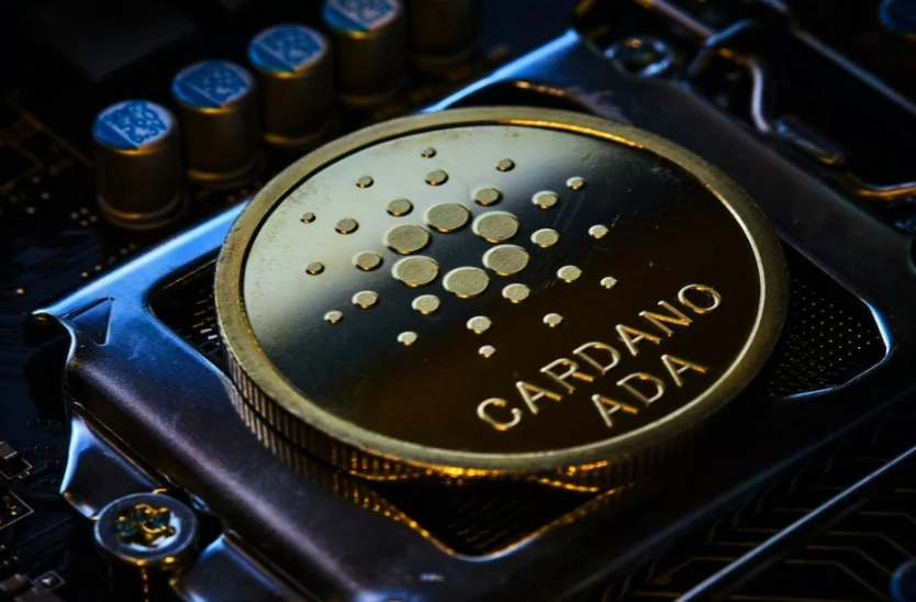what is Cardano