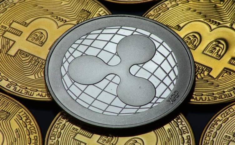 XRP vs Bitcoin: The Ultimate Comparison Guide for Investors