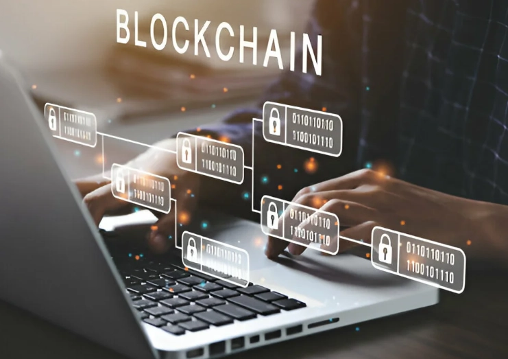 blockchain network types