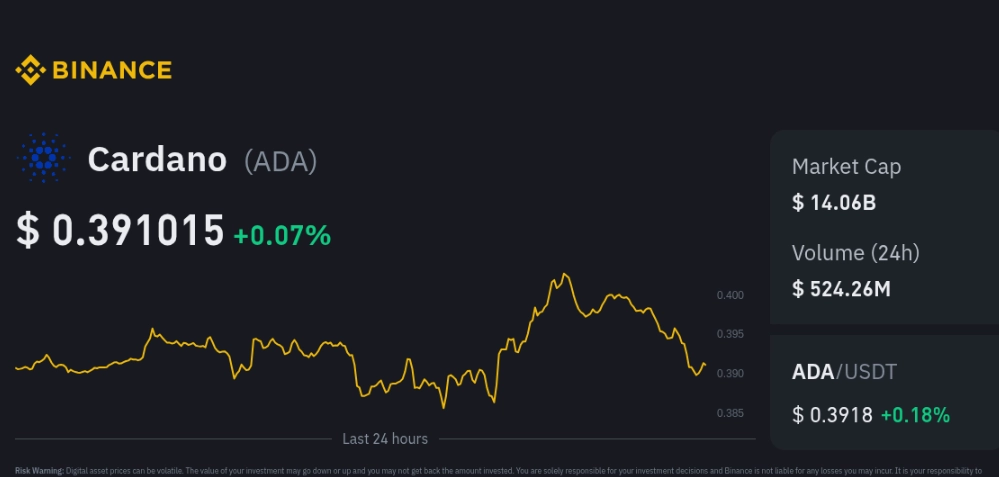 cardano price