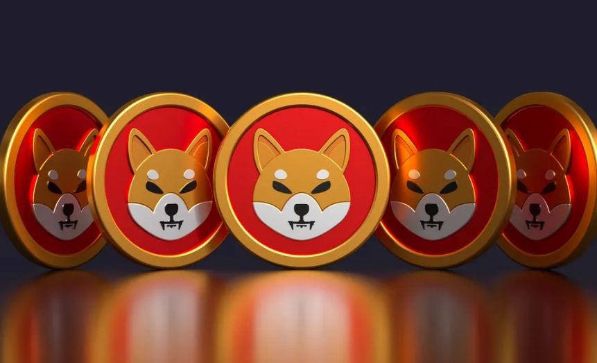 Shiba Coin future