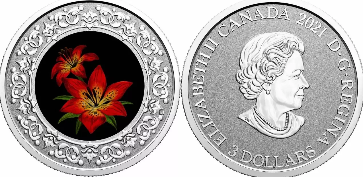 how to buy lily coin