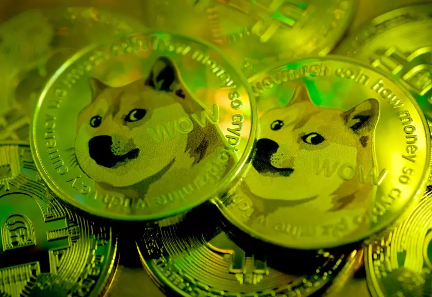 doge stock price