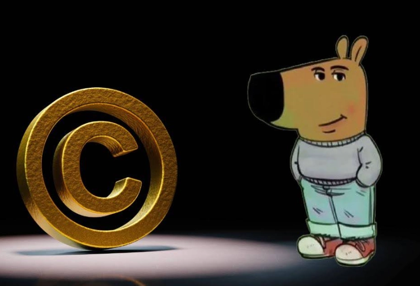 what is chillguy coin