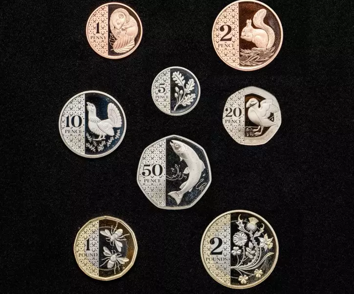 hawk coin solana hawk coin solana