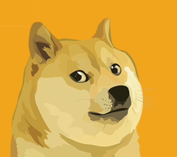 invest in Dogecoin invest in Dogecoin