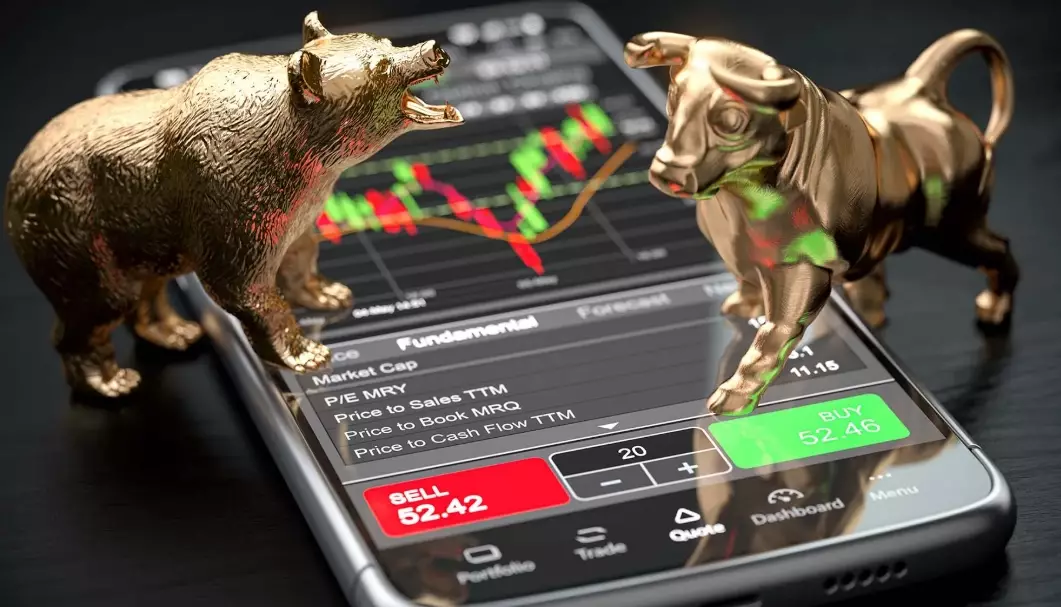 bull market investing