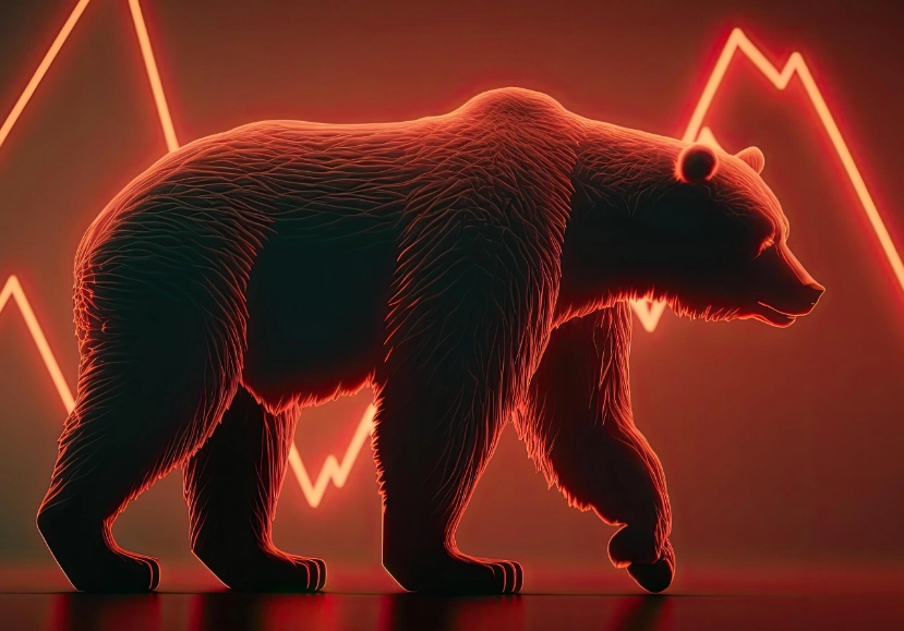 bear market investing strategies