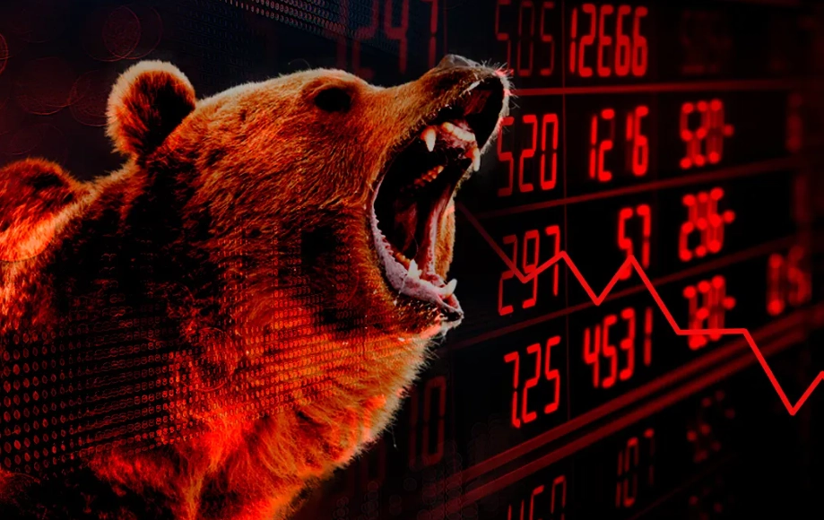 how to survive a bear market