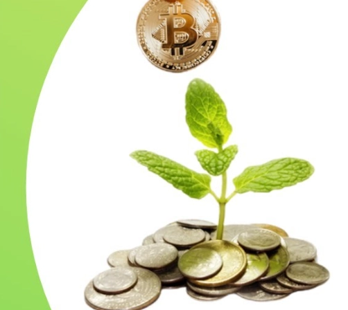 Crypto for Beginners: Your First Steps Explained Clearly