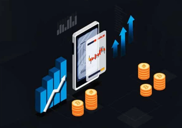 crypto project evaluation