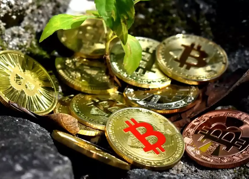 best crypto communities 2024