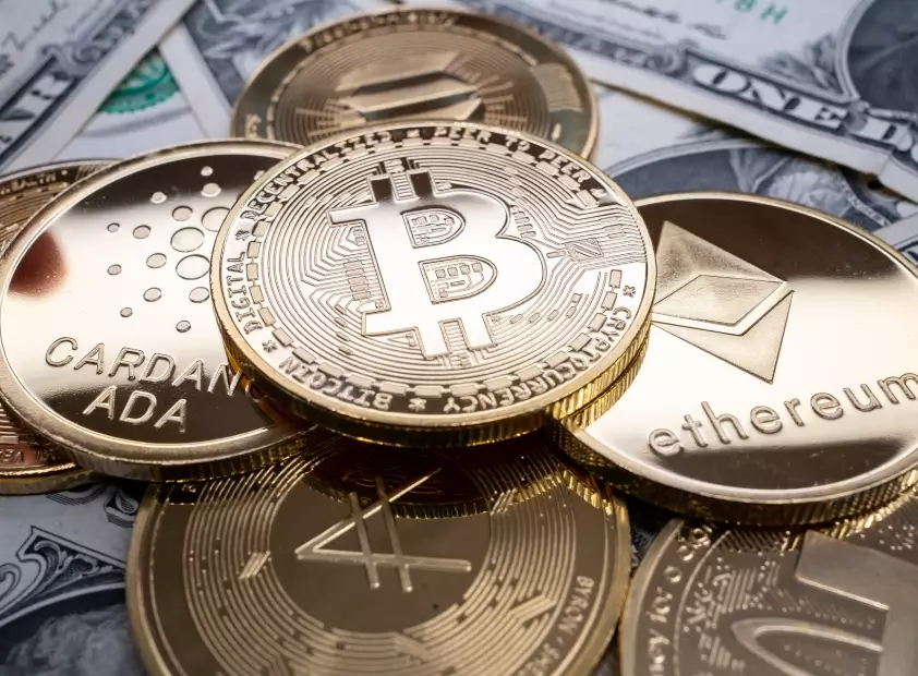 cryptocurrency investors