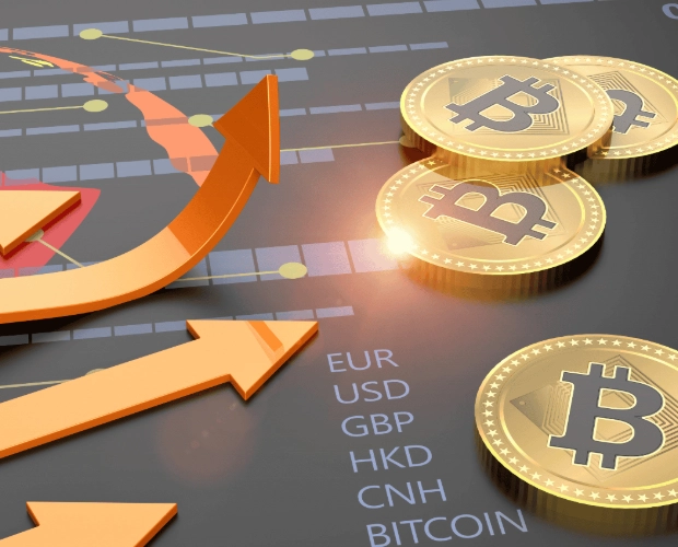 crypto portfolio management crypto portfolio management