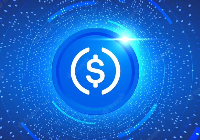 best blockchain for USDC