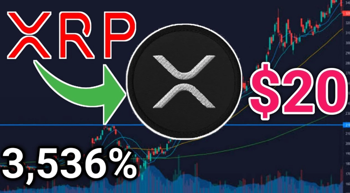 Is XRP Expected to Skyrocket? An Expert's Reality Check