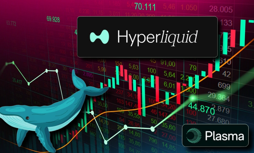 HyperLiquid perpetual swaps risks HyperLiquid perpetual swaps risks